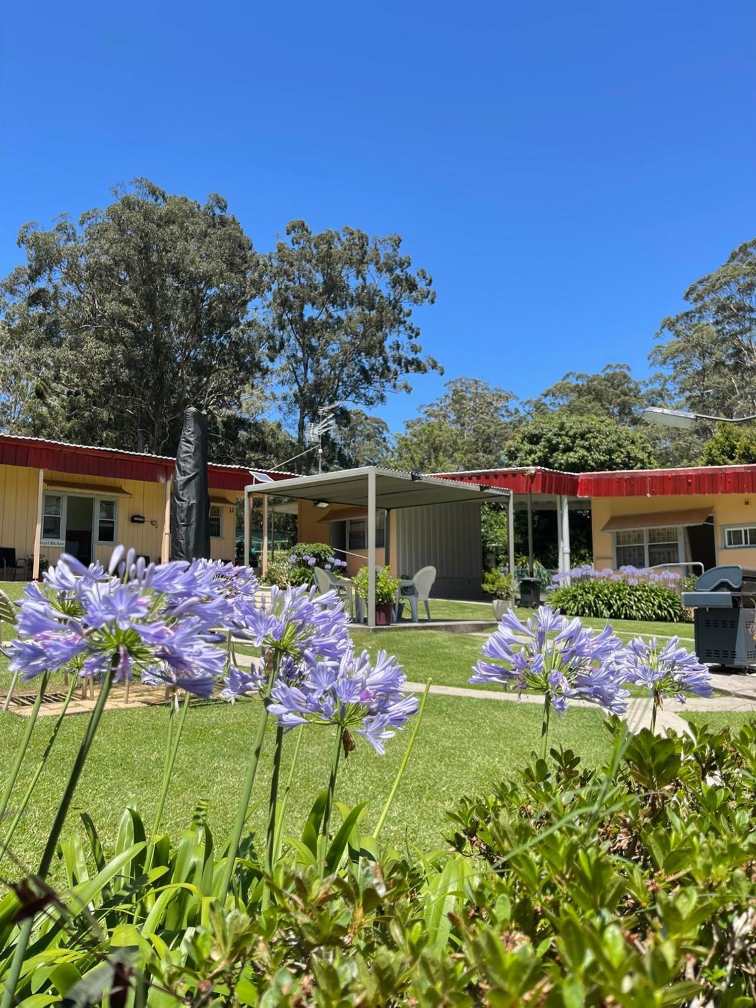 Major Innes Motel Port Macquarie Exteriör bild