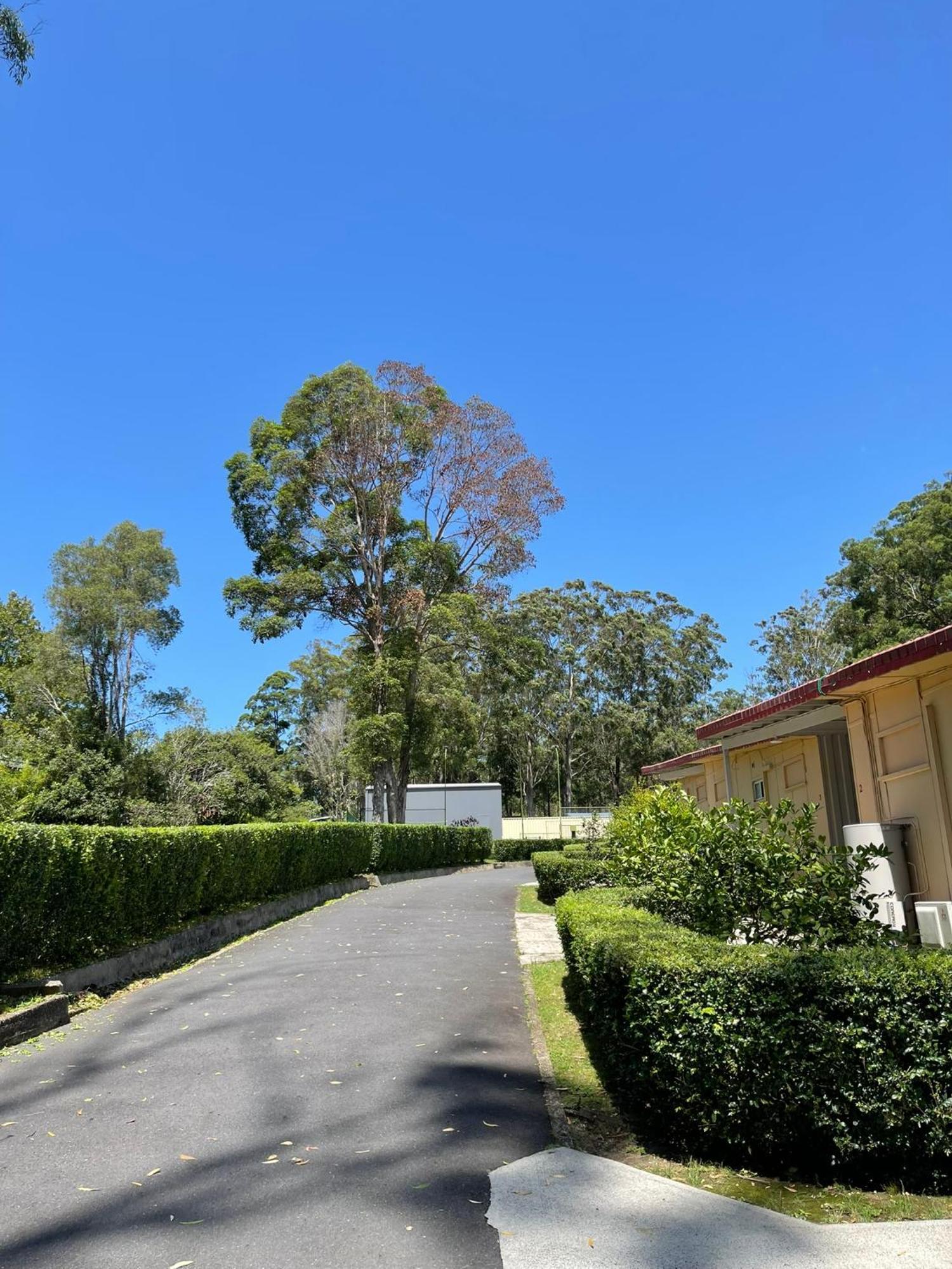 Major Innes Motel Port Macquarie Exteriör bild