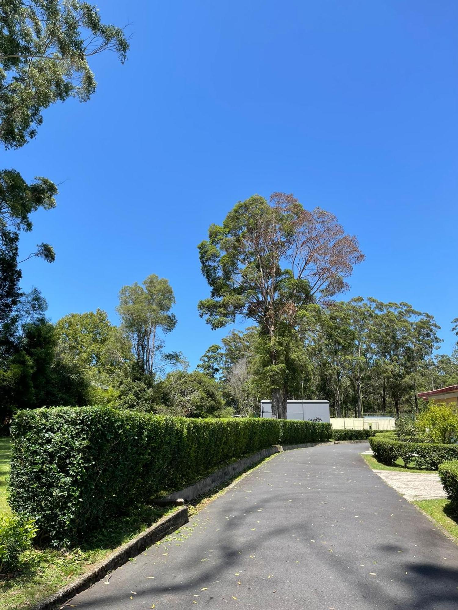 Major Innes Motel Port Macquarie Exteriör bild